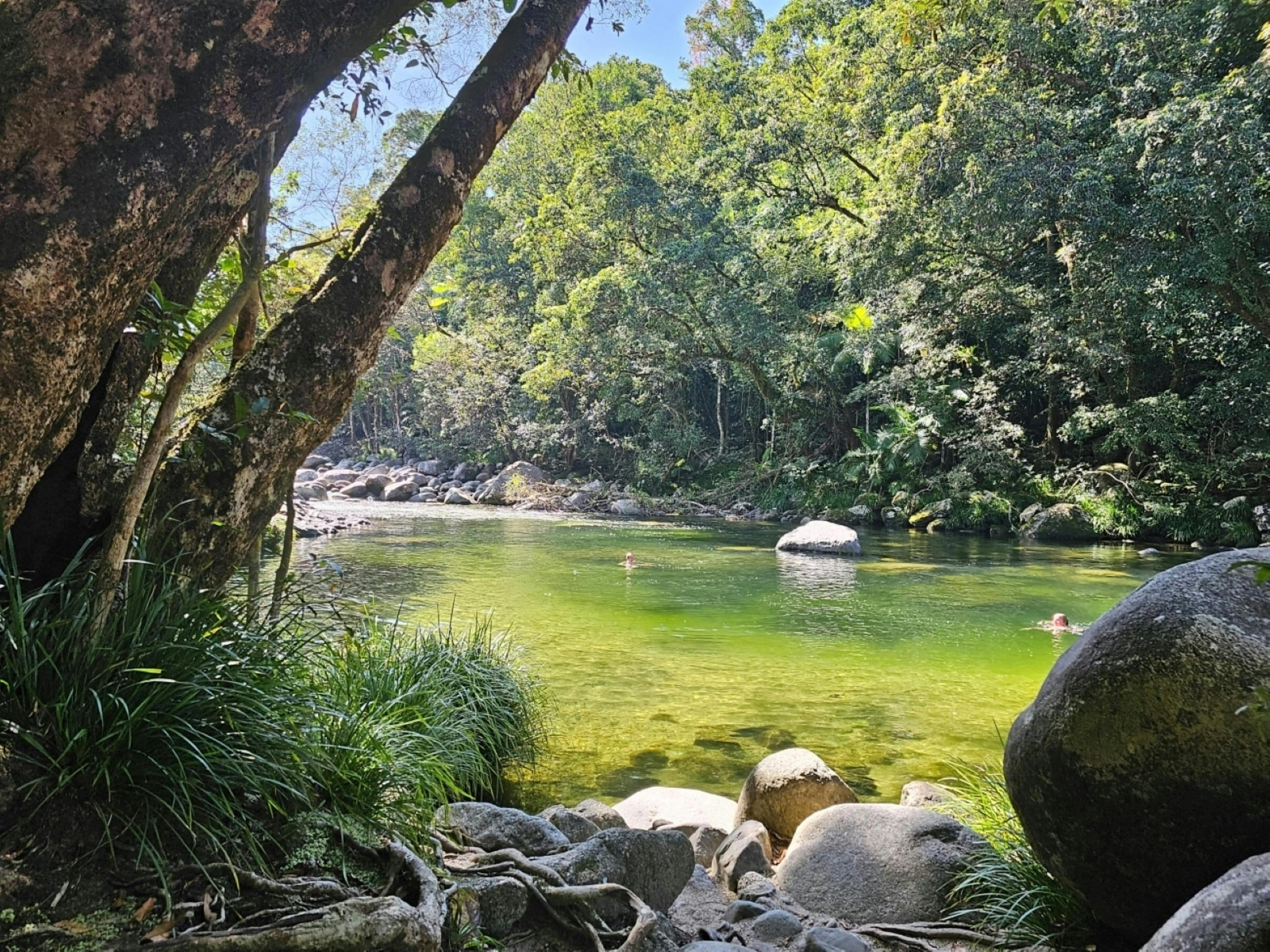 Swimming Area - Mossman Gorge