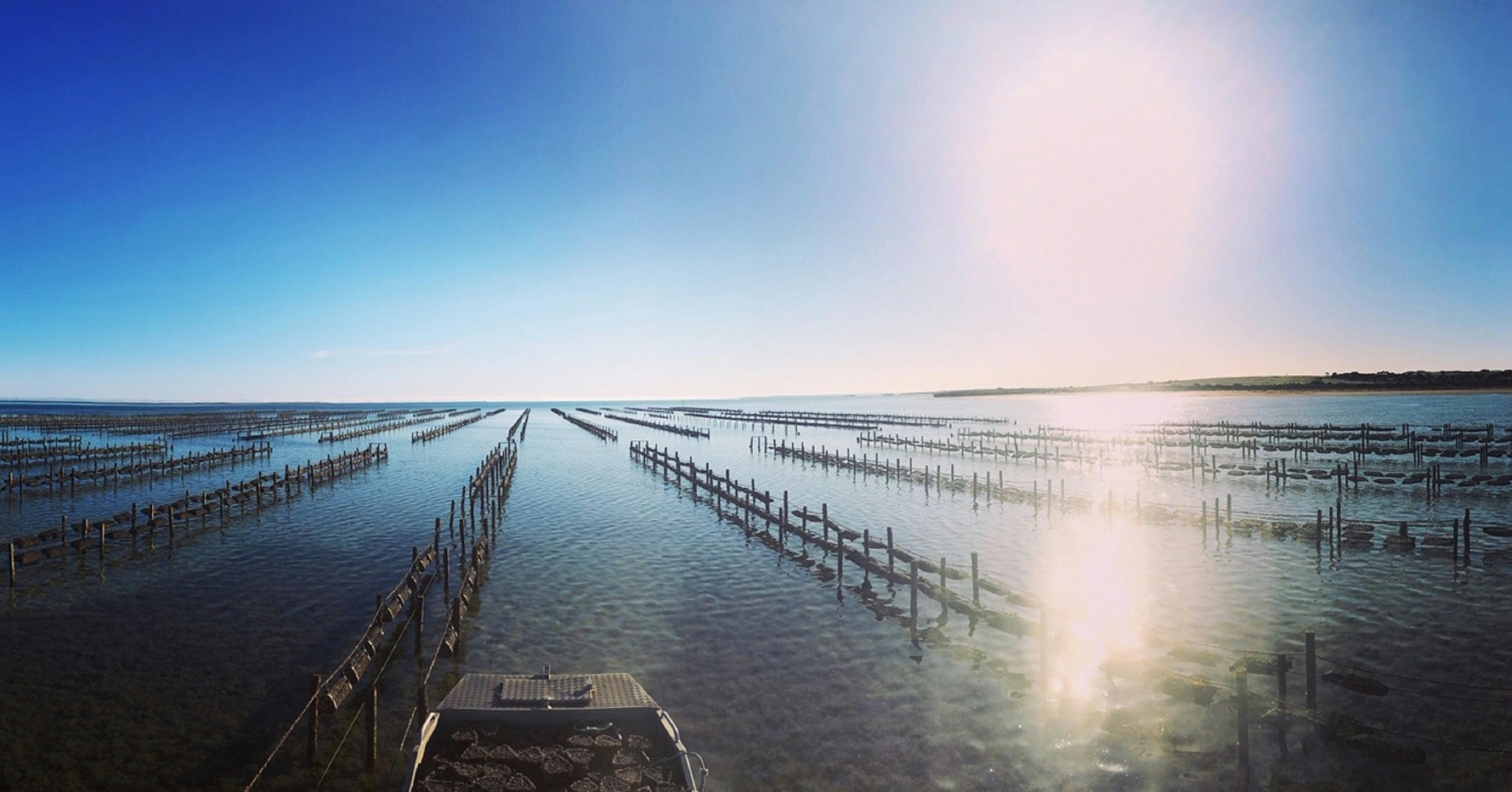 Beautiful Day on the Bay