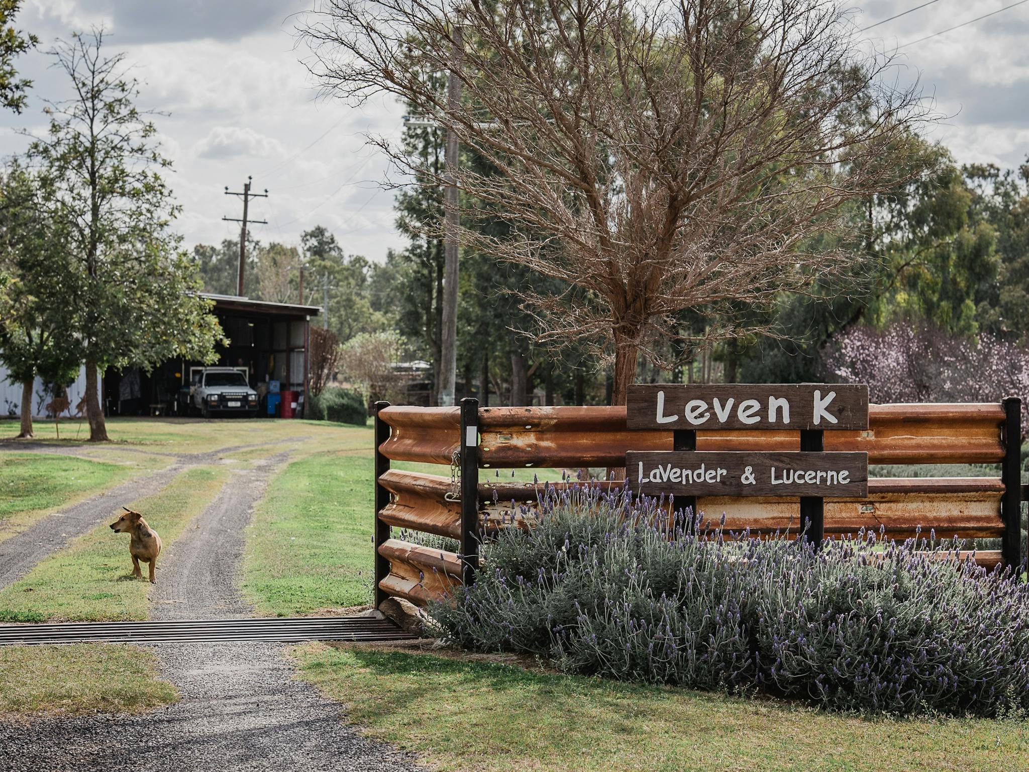 Image of the entrance to Leven K Farm Image of the entrance to Leven K Farm
