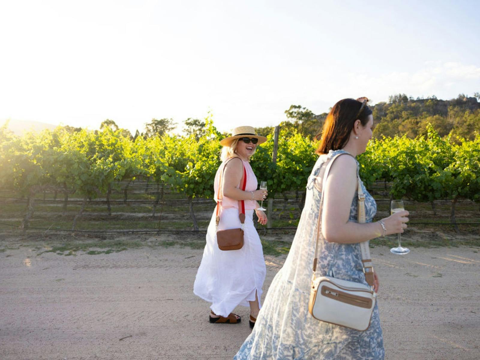 Tour the Balancing Heart Vineyard, Granite Belt Queensland