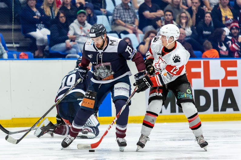 Image of the event 'Ice Hockey Bushfire Battle - Sydney Ice Dogs v Sydney Bears'