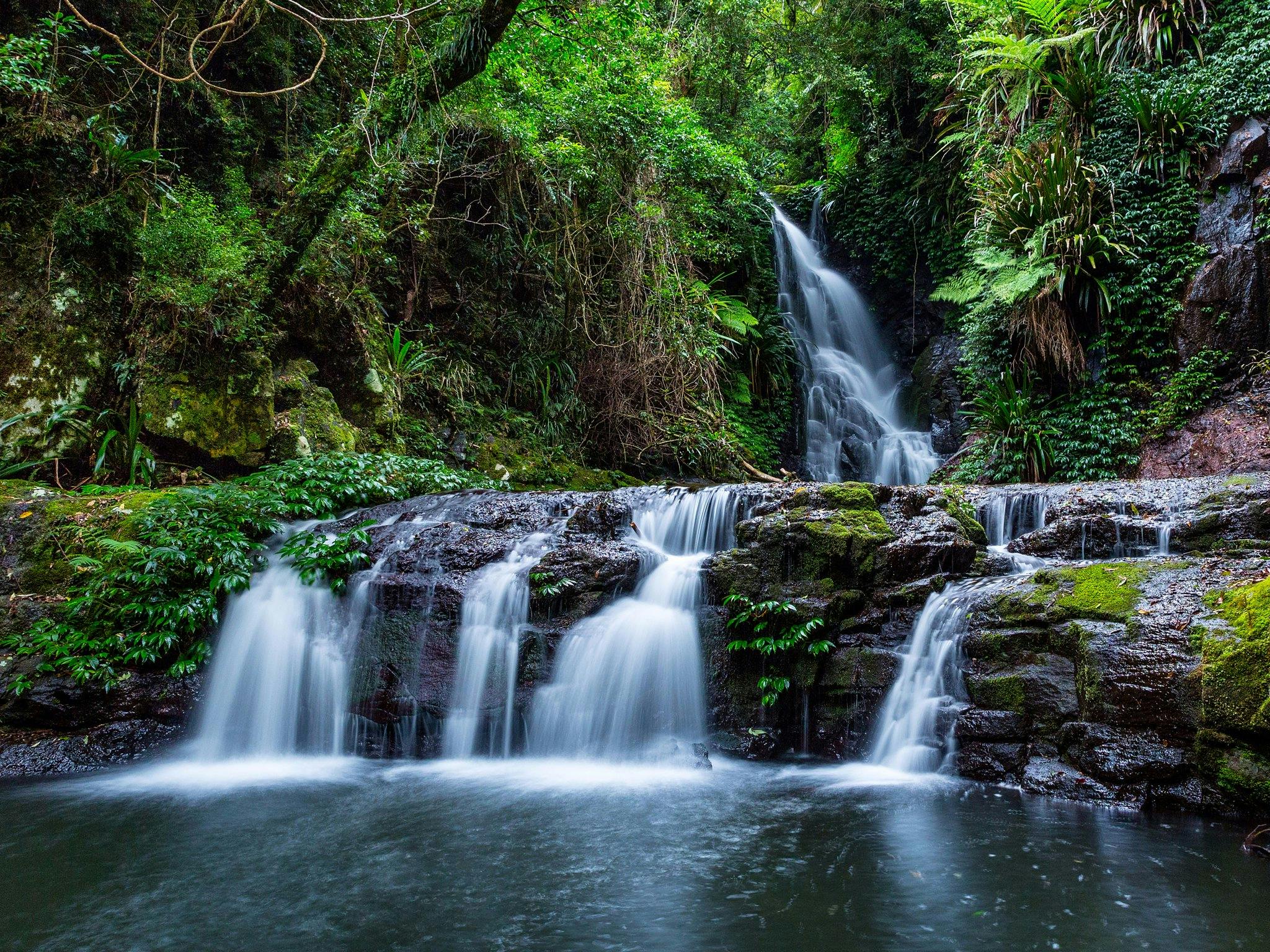 Lamington, Elabana Falls Lamington, Elabana Falls