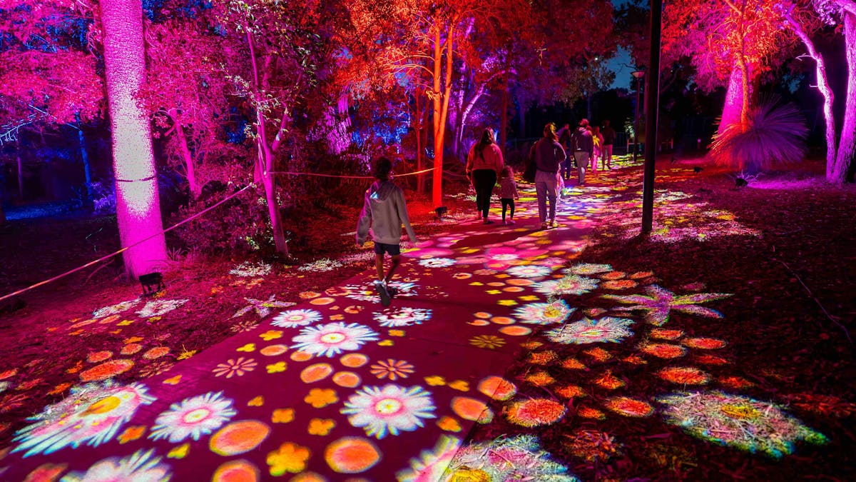 Light installation of flowers