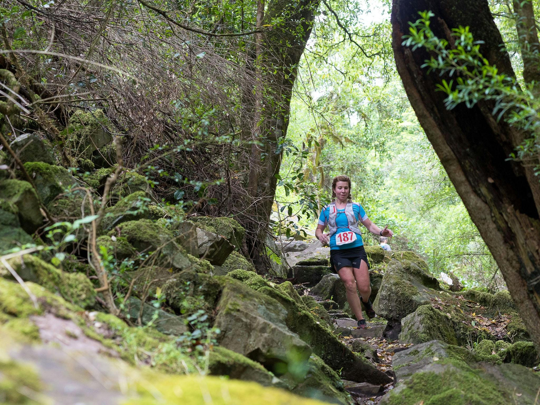 Summit Shoalhaven