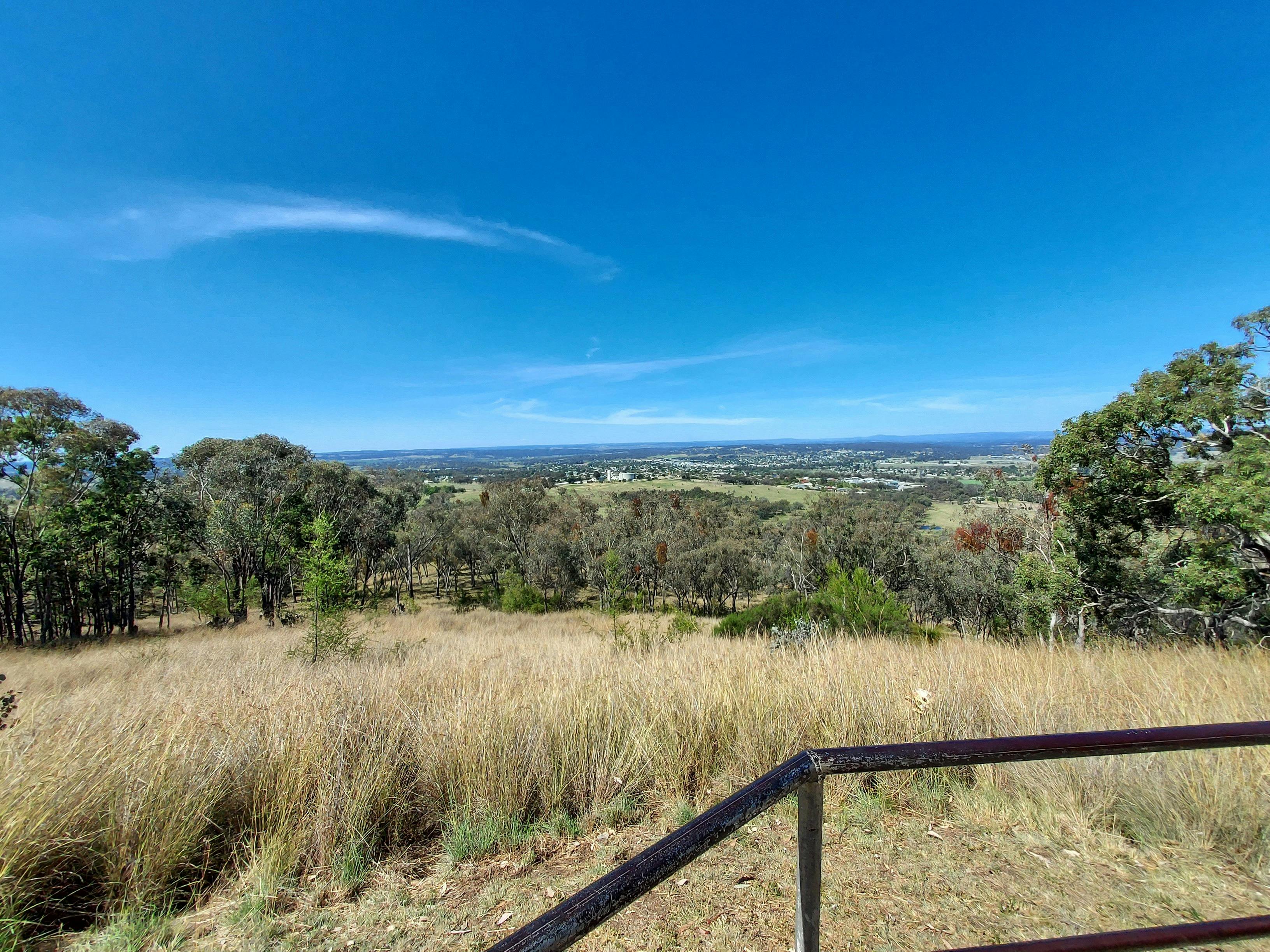 View of Inverell over trees from lookout