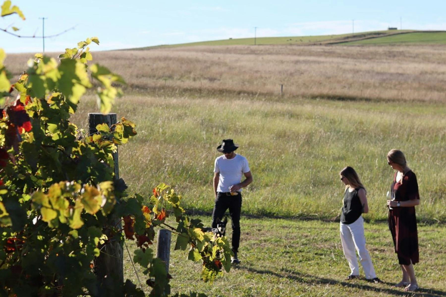 Image for Mallaluka Wines