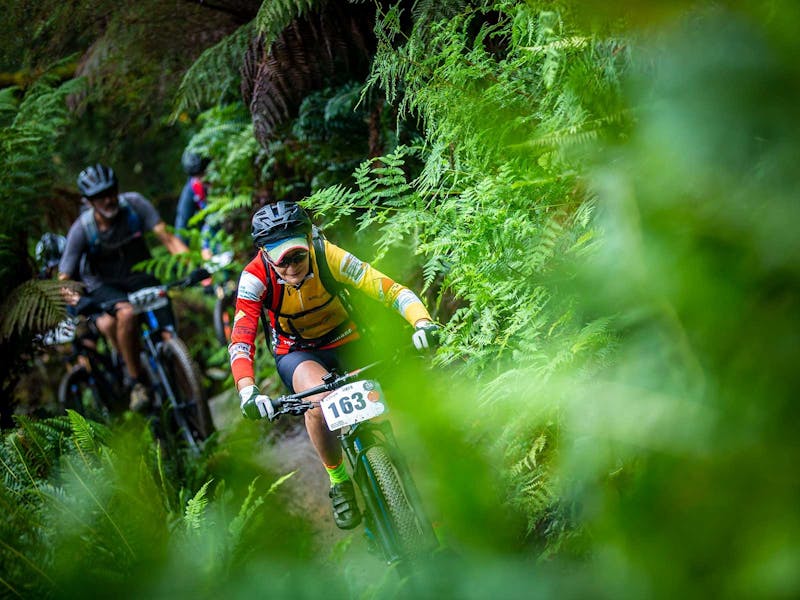 Riding at the Dragon Trail MTB