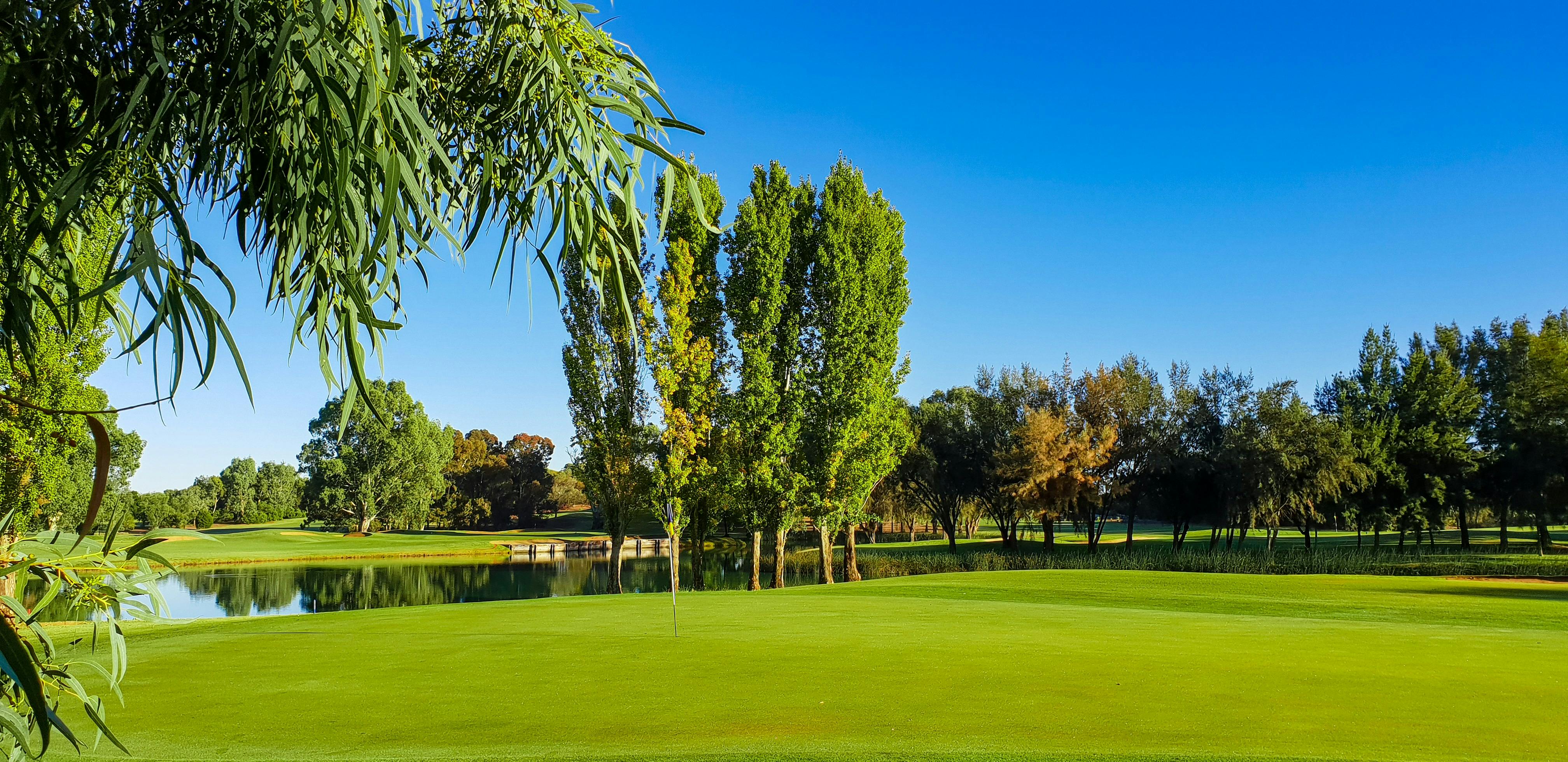NSW Open Golf Championship