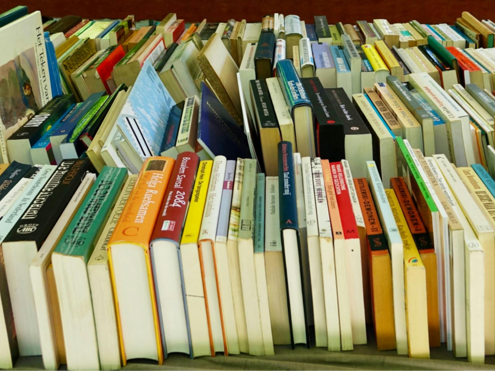 Books lined up on a table