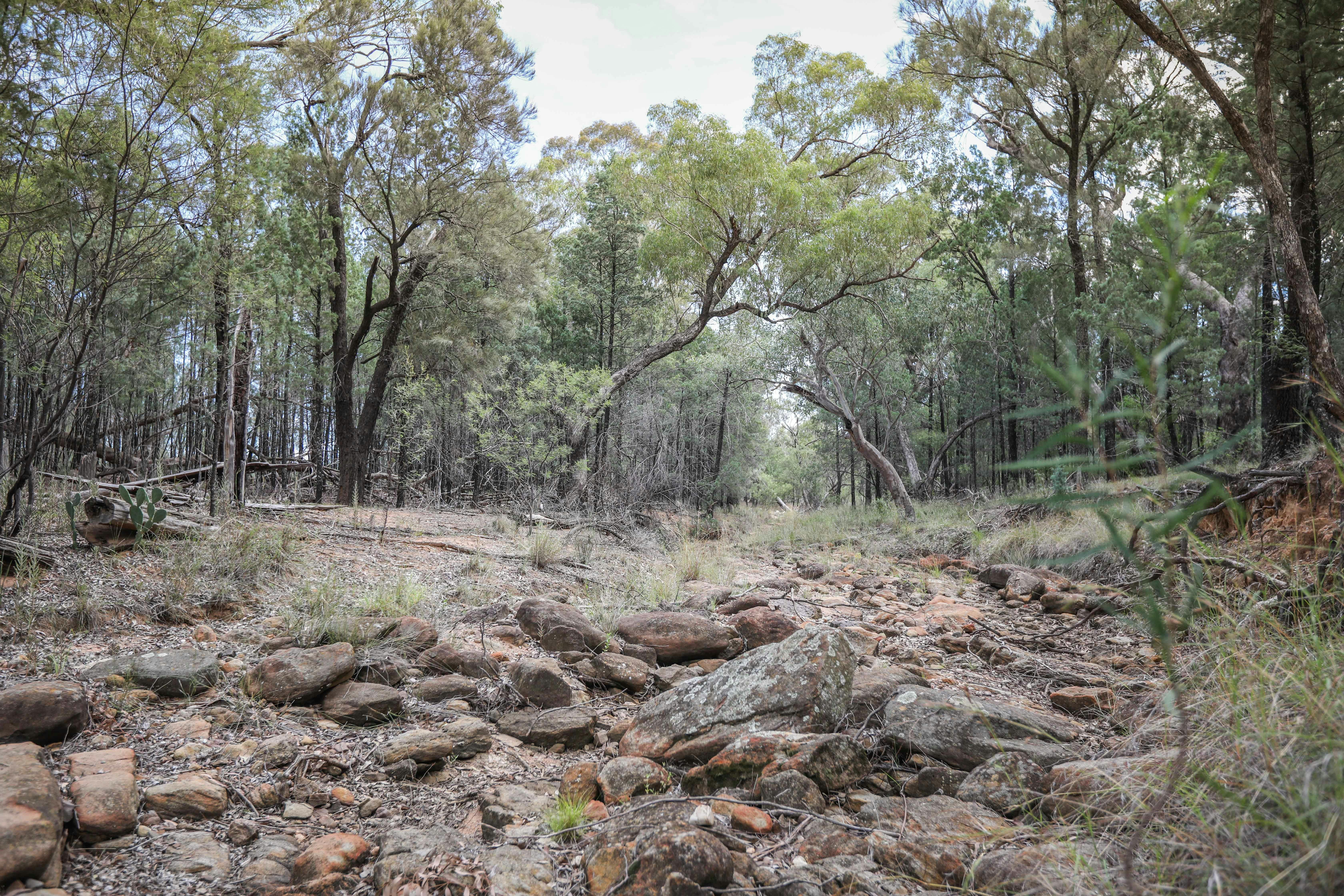 A dry creek to explore