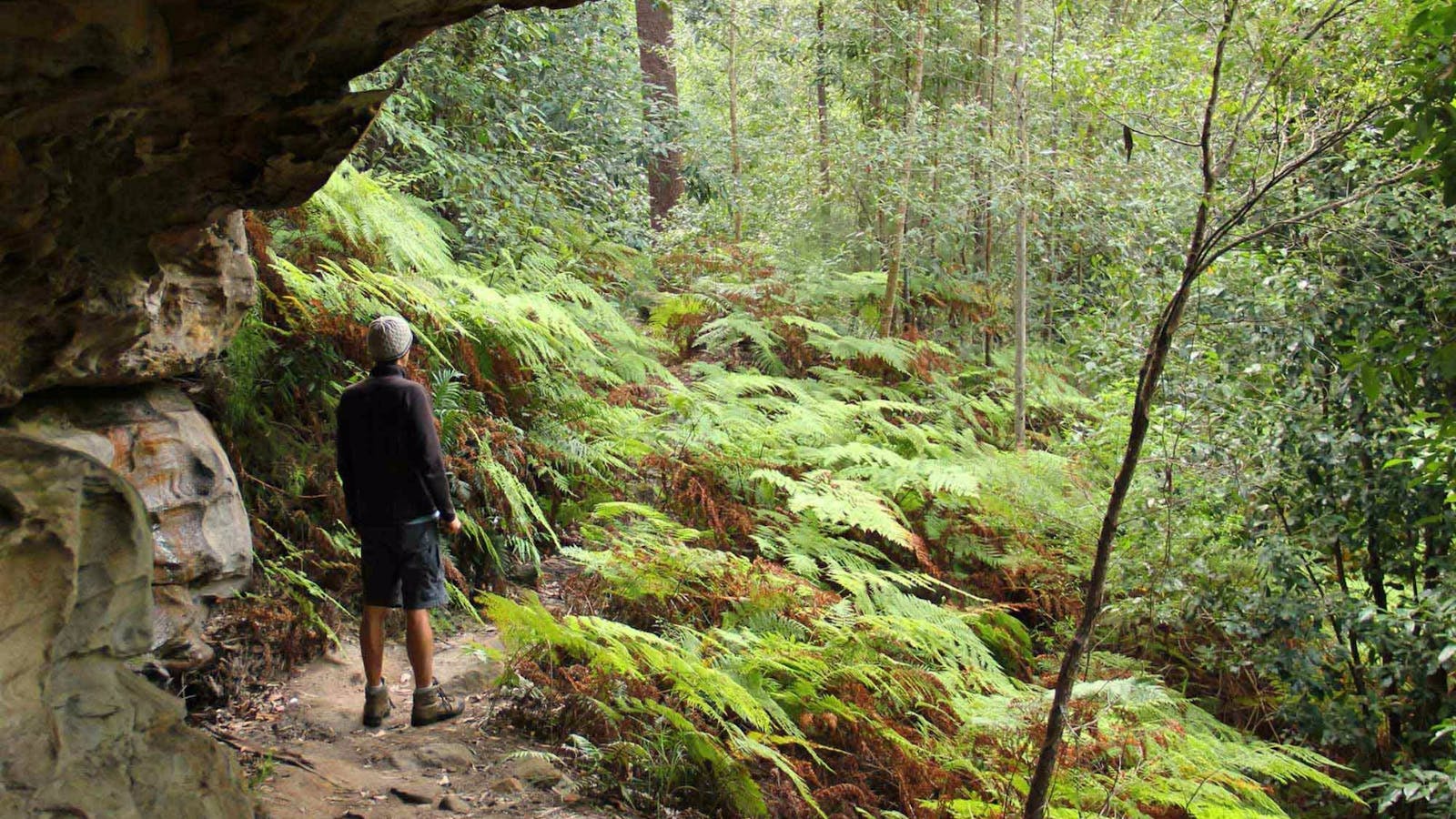 Dharug National Park