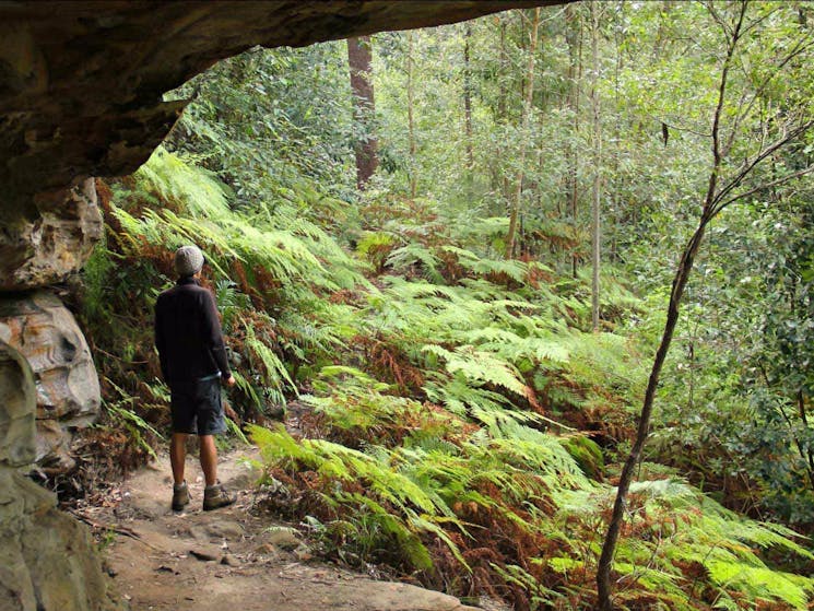 Dharug National Park