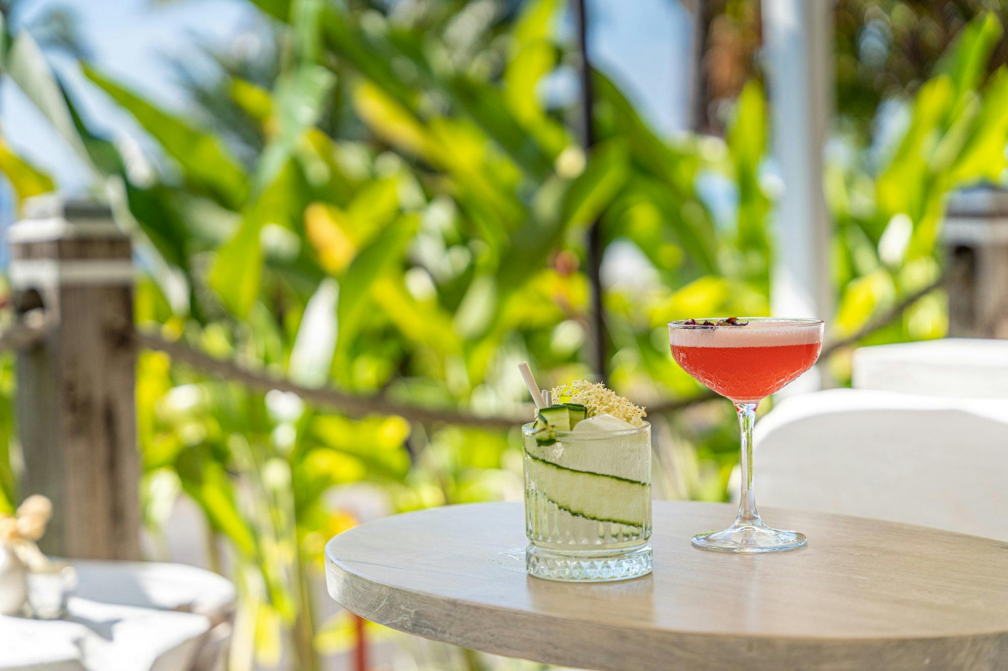 Signature Cocktails