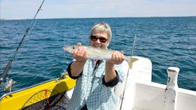 King George Whiting