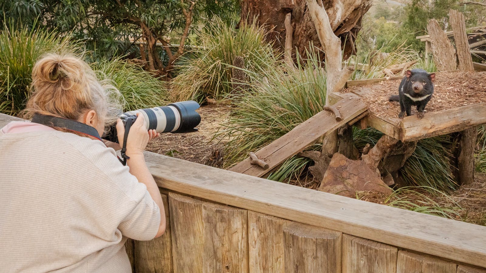 Wildlife Photography workshop at Bonorong Wildlife Sanctuary