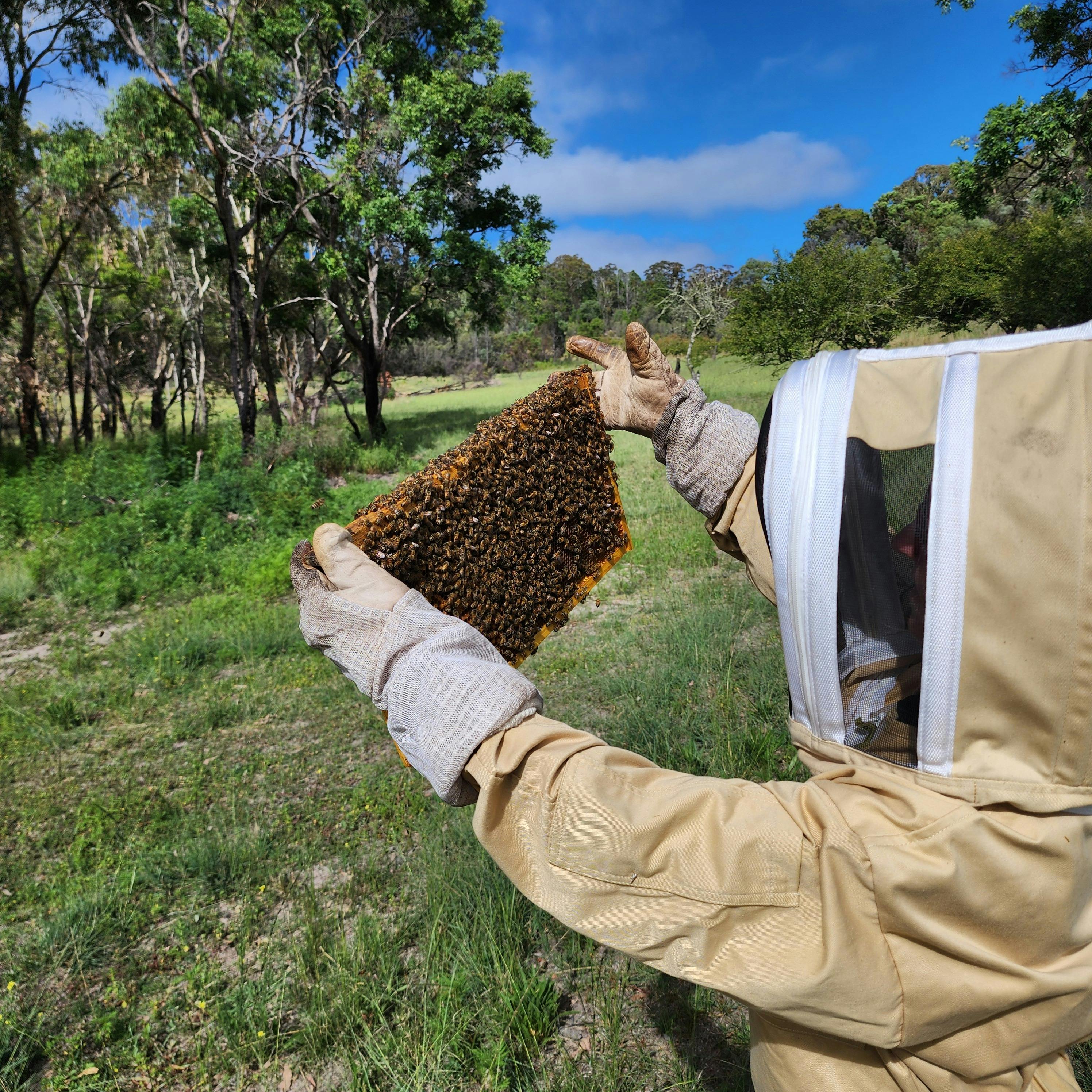 Mount Stirling Meadery