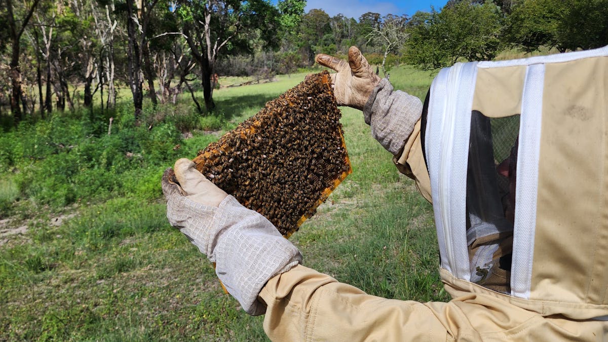 From our hives to you