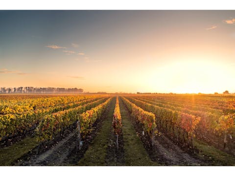 Sydney Wine Tours - Southern Highlands Day Escape