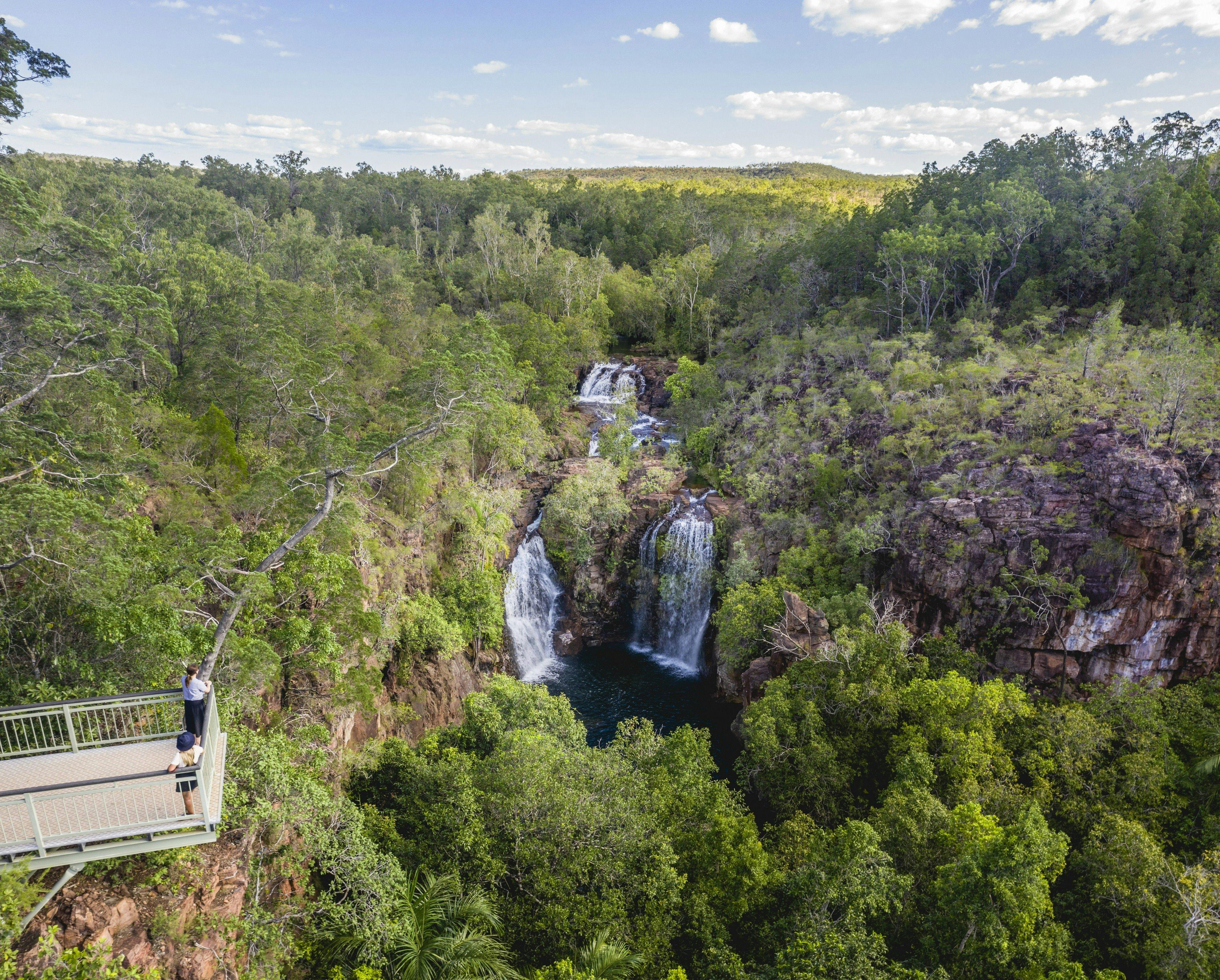 Visitors viewing Florence Falls from the lookout.