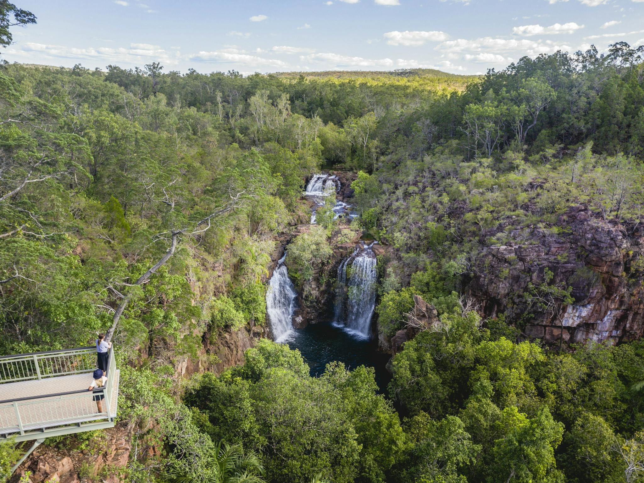 Visitors viewing Florence Falls from the lookout.