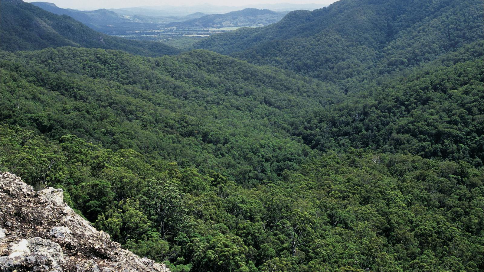 Mountainous views on Great Walk