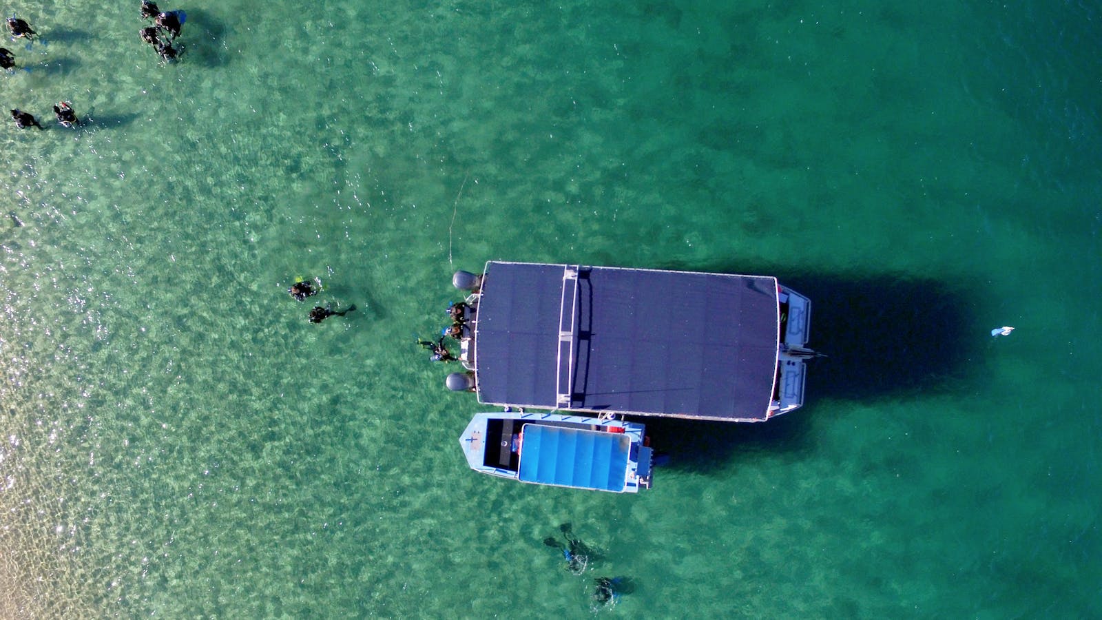 Gold Coast Snorkelling
