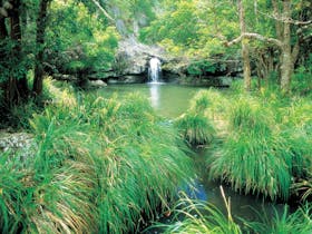 Kondalilla National Park