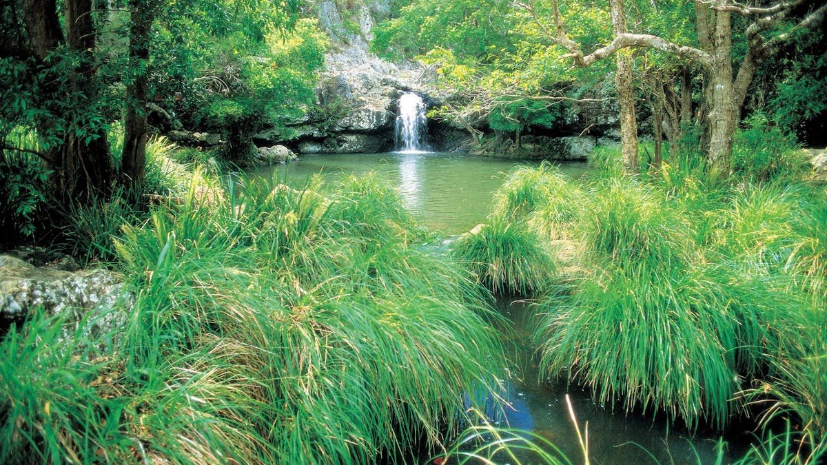 waterfall and rockpool at Kondalilla National Park