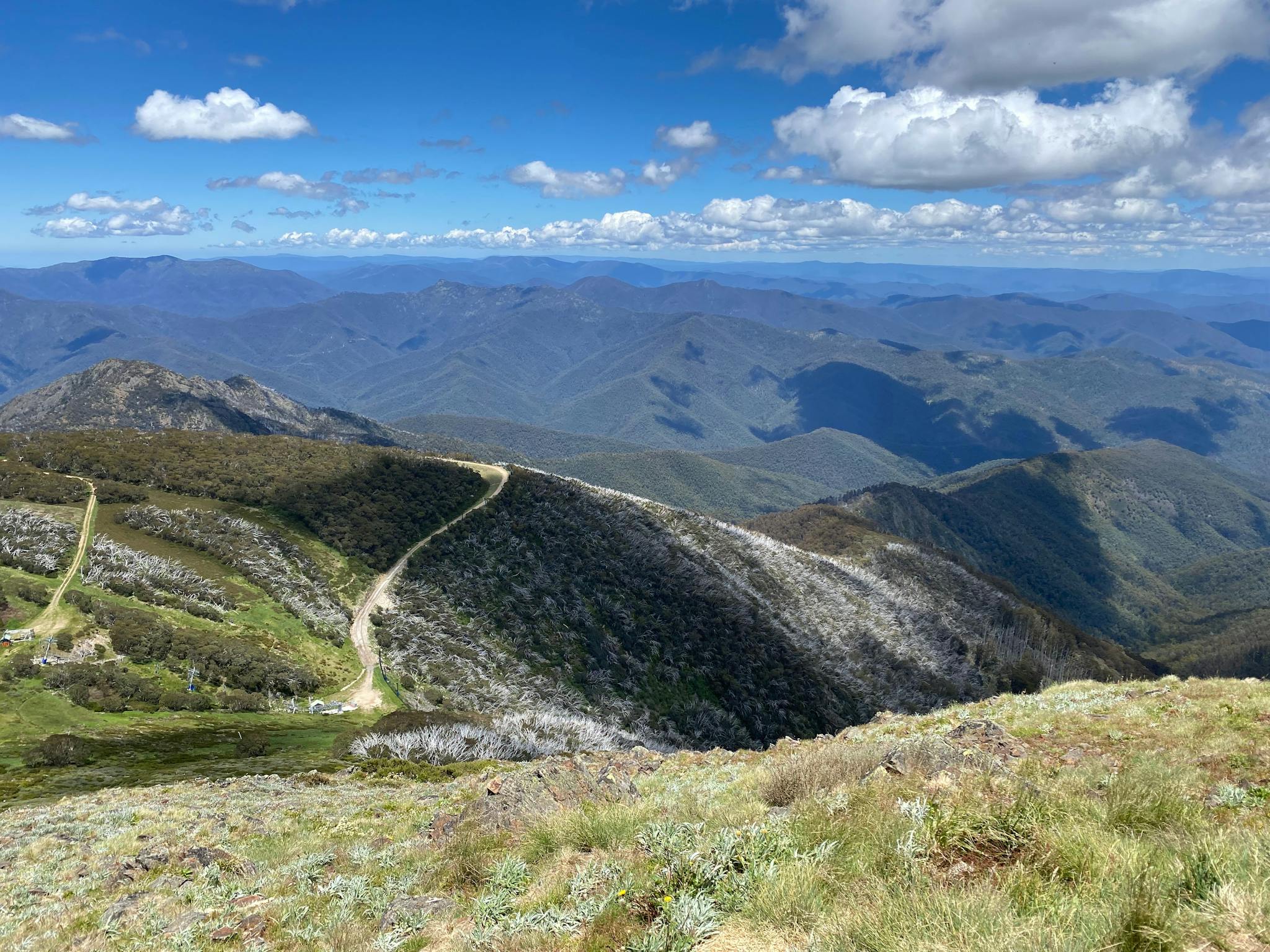 Mount Buller is glorious in the summer - come and enjoy our hiking and  mountain biking trails.