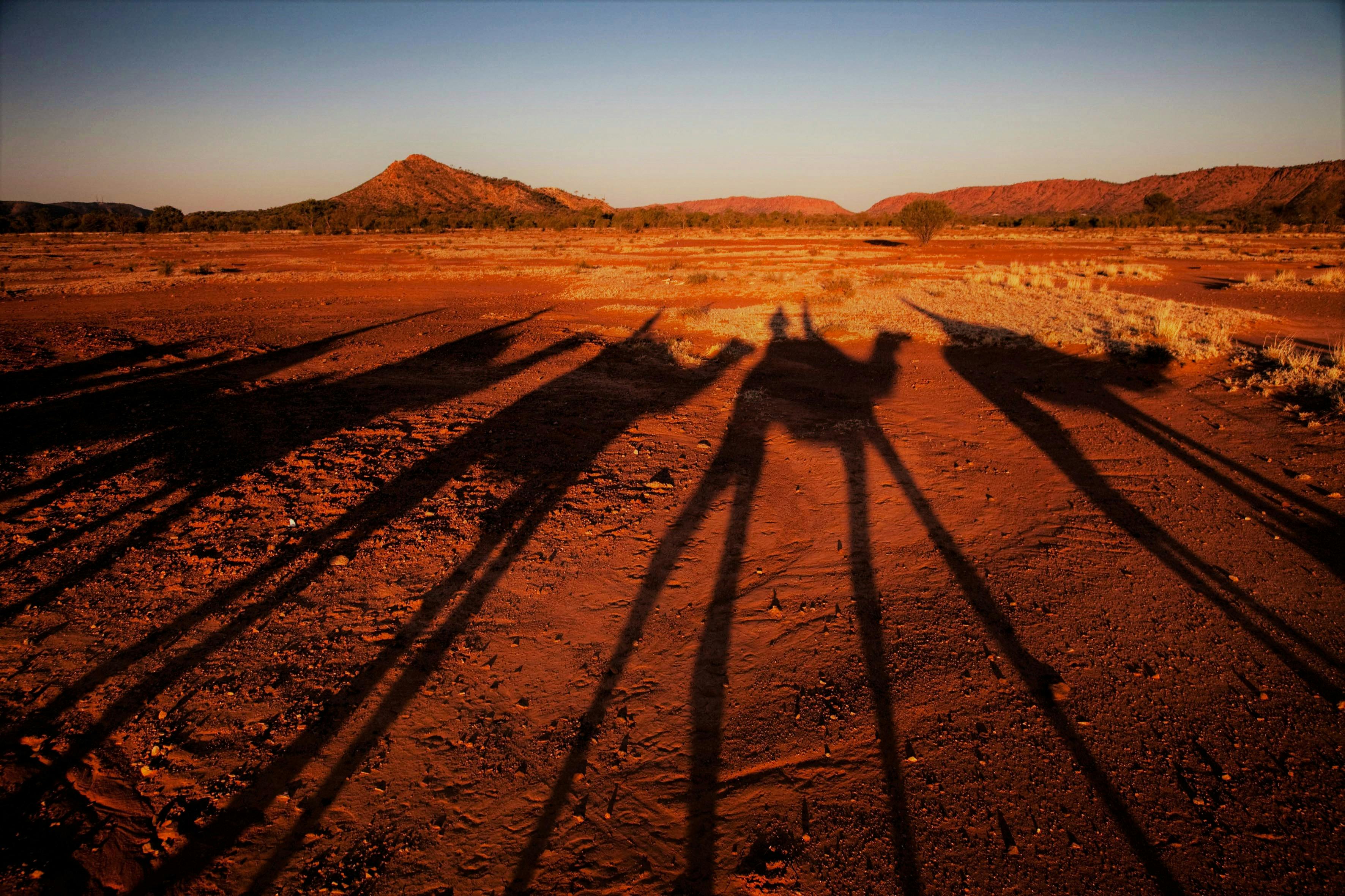 outback camel tour Alice Springs