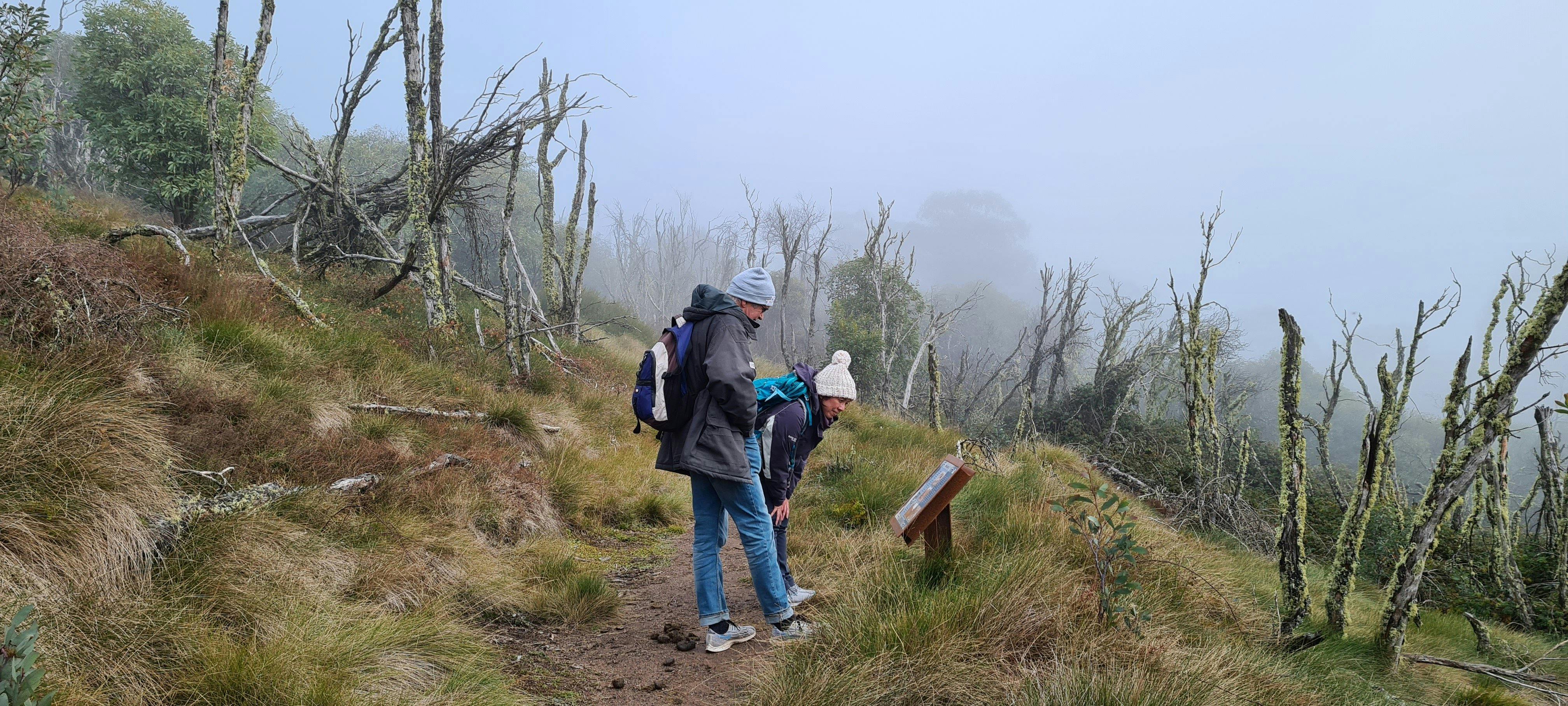 A couple of hikers reading an information board on a trail to Craig's Hut.
