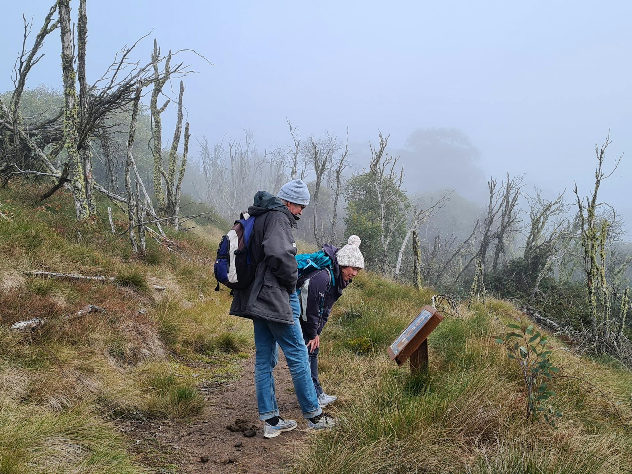 A couple of hikers reading an information board on a trail to Craig's Hut.