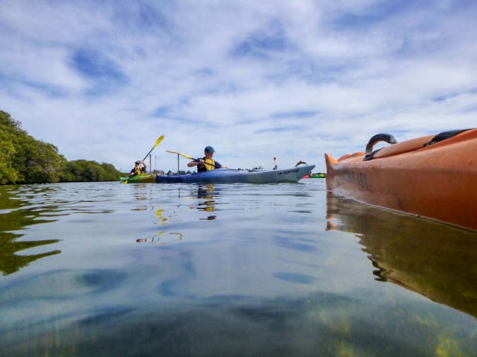 Mighty Yowies Dolphin and Ship Wreck Kayak Adventure Summer School Holidays