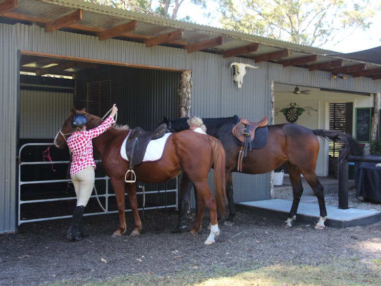 Preparing to ride out