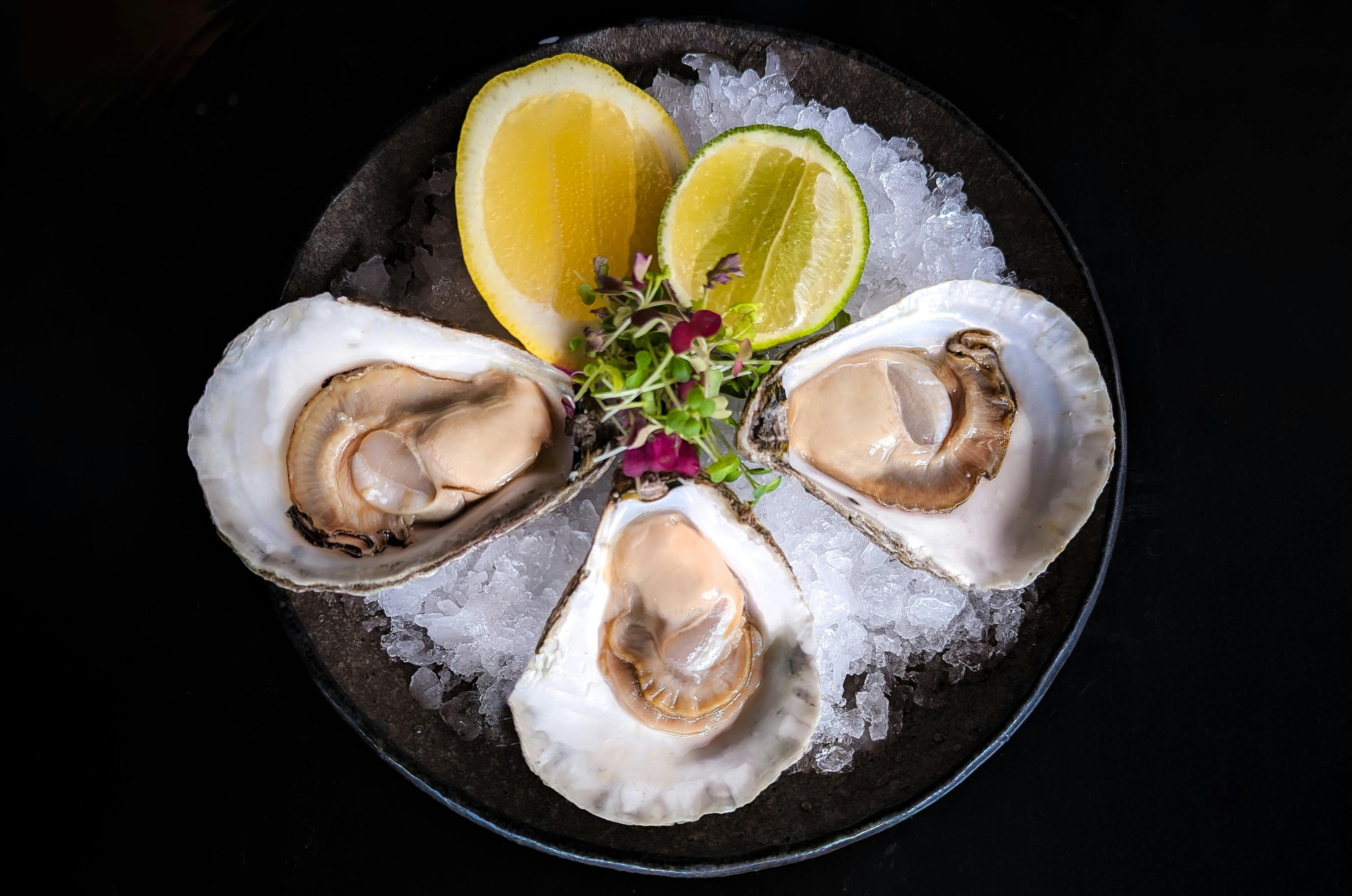 Three native Tasmanian Angasi Oysters on a bed of ice