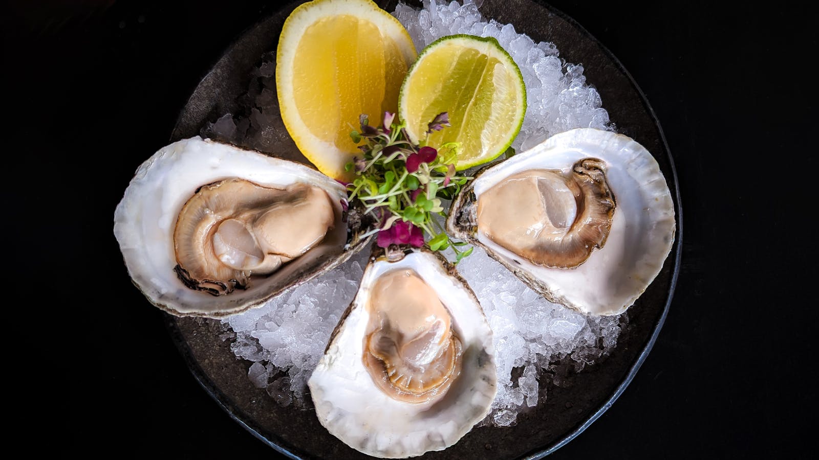 Tasmanian Native Angasi Oysters