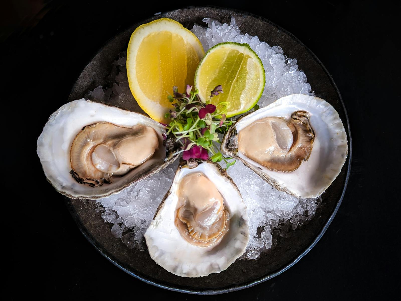 Three native Tasmanian Angasi Oysters on a bed of ice