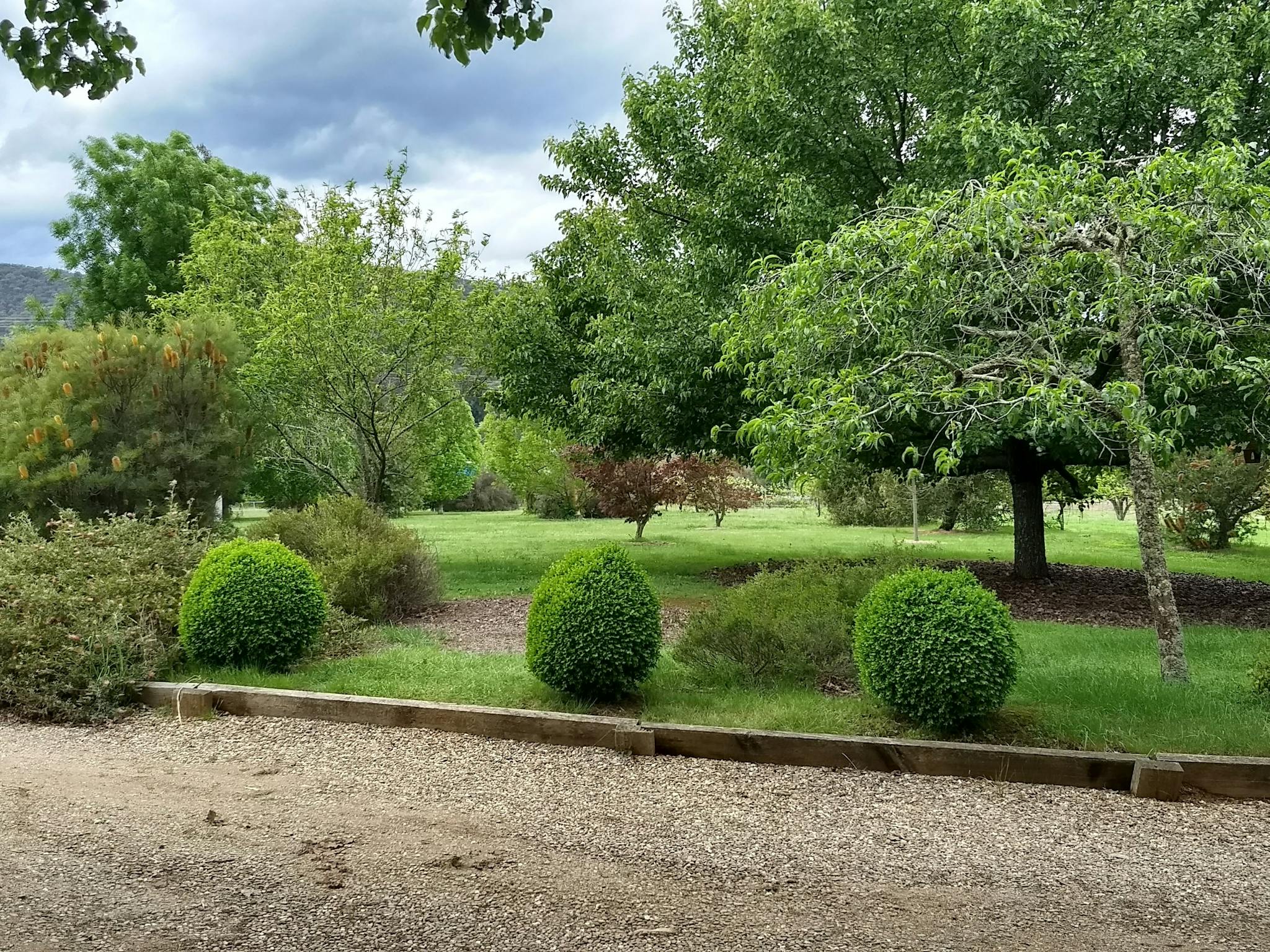 Front Garden