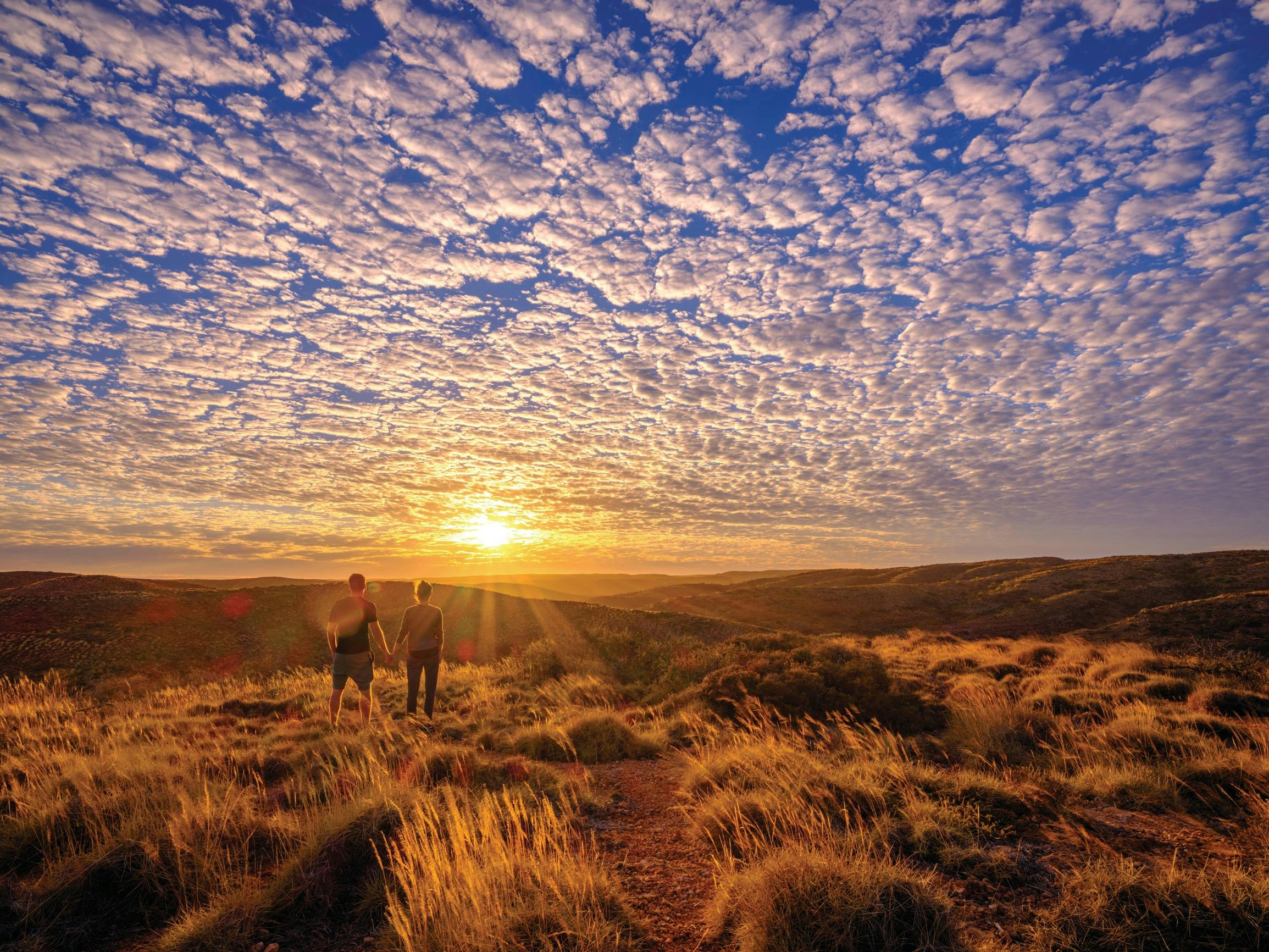 Cape Range Wildflower Trail, Exmouth, Western Australia