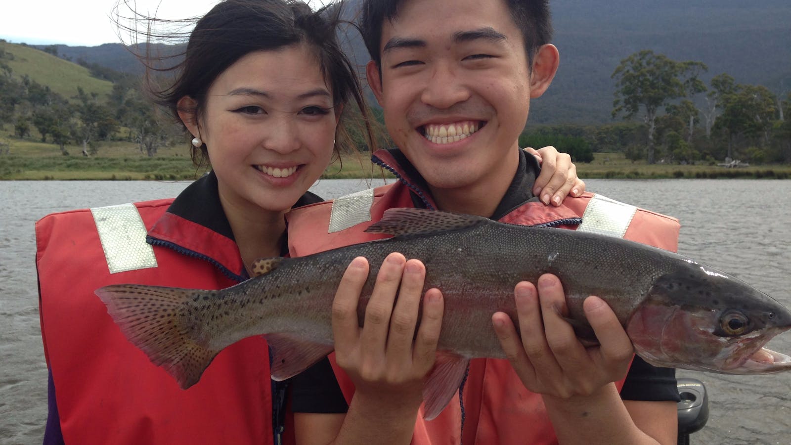 Rainbow trout Tasmania