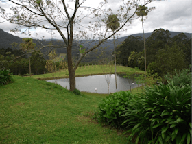 Yarrawa Estate