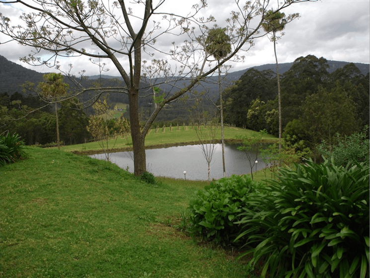 Yarrawa Estate