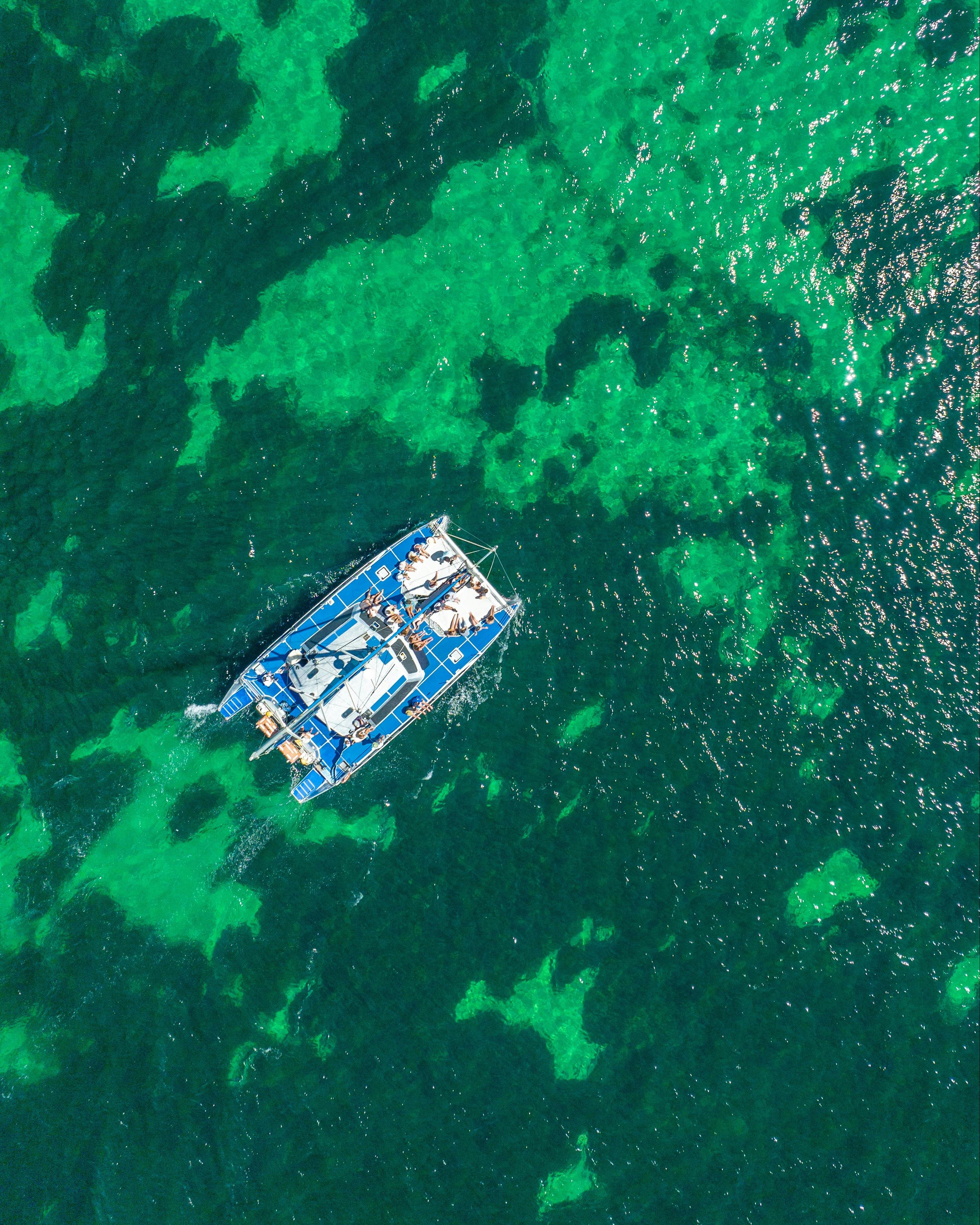 The Vessel from Above