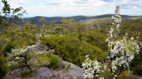 Murphys fire trail – Woodford to Murphys Glen campground