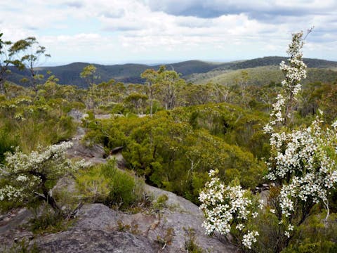 Murphys fire trail – Woodford to Murphys Glen campground