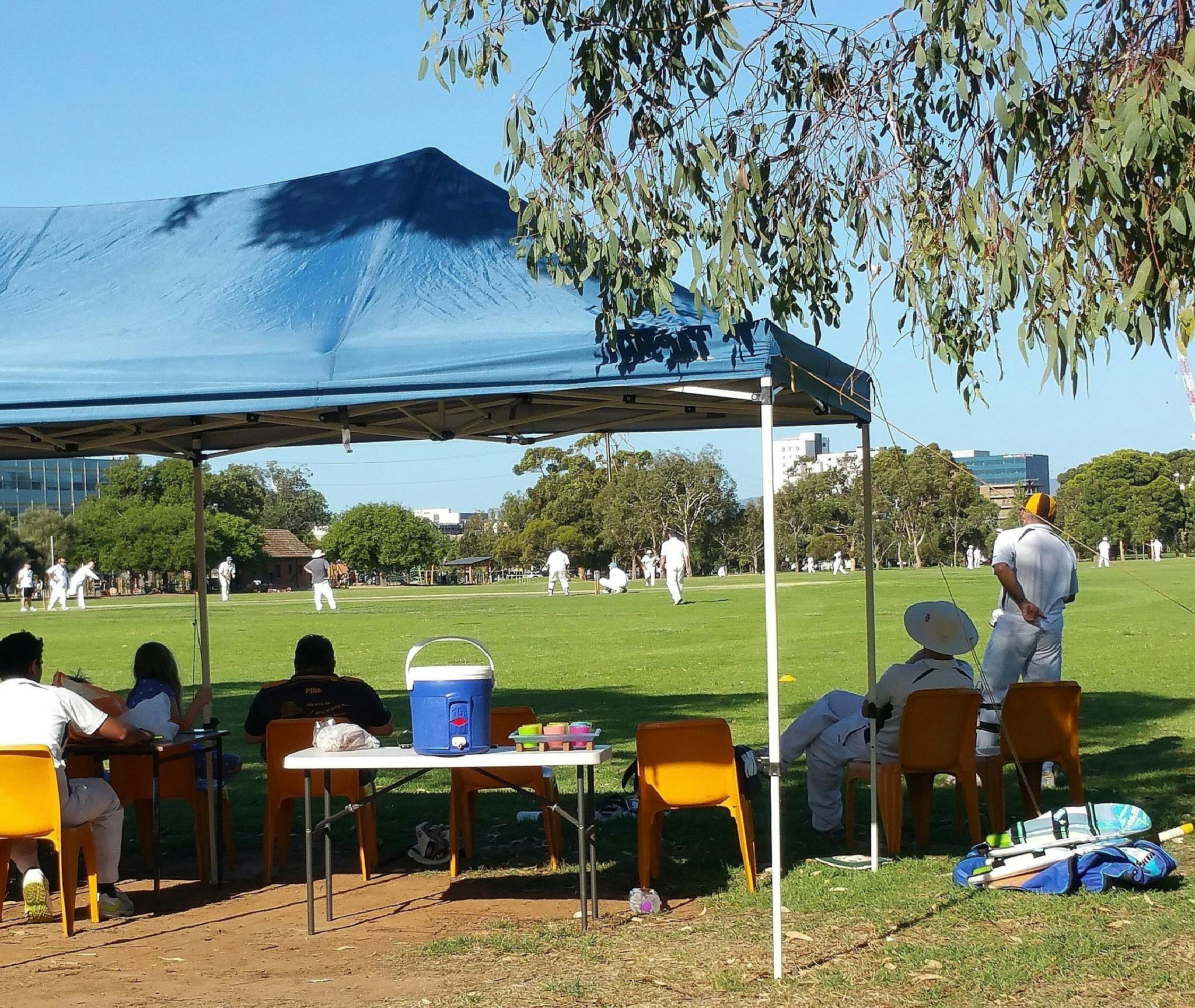 Cricket in the park