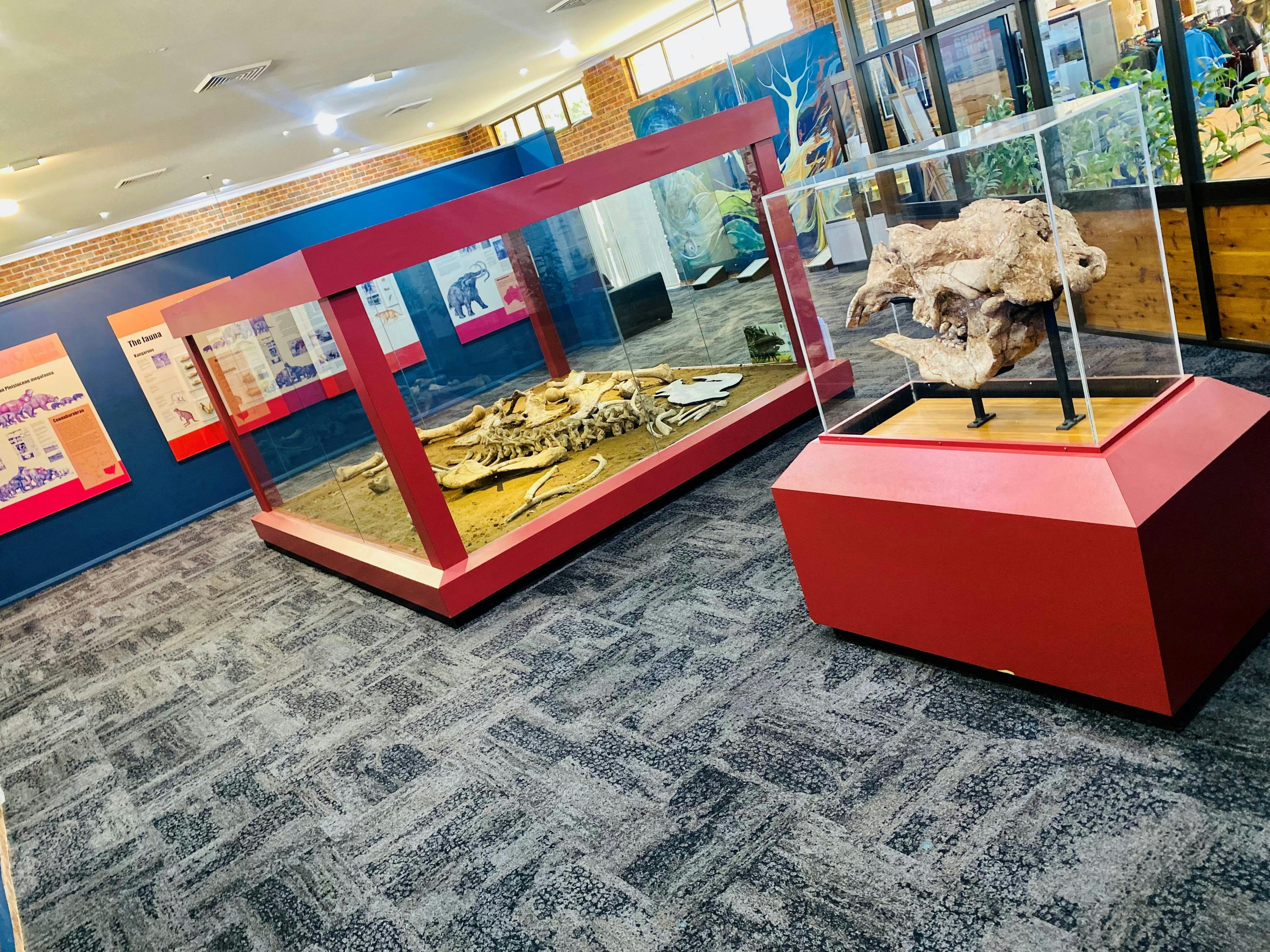 雙門齒獸博物館