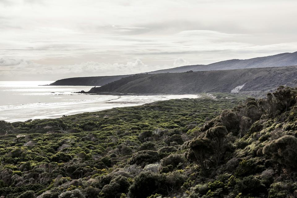 Narawntapu National Park photo