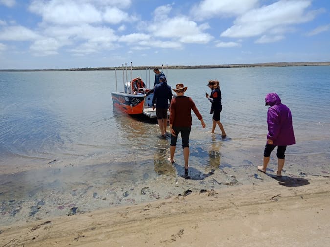 Coorong Your Way