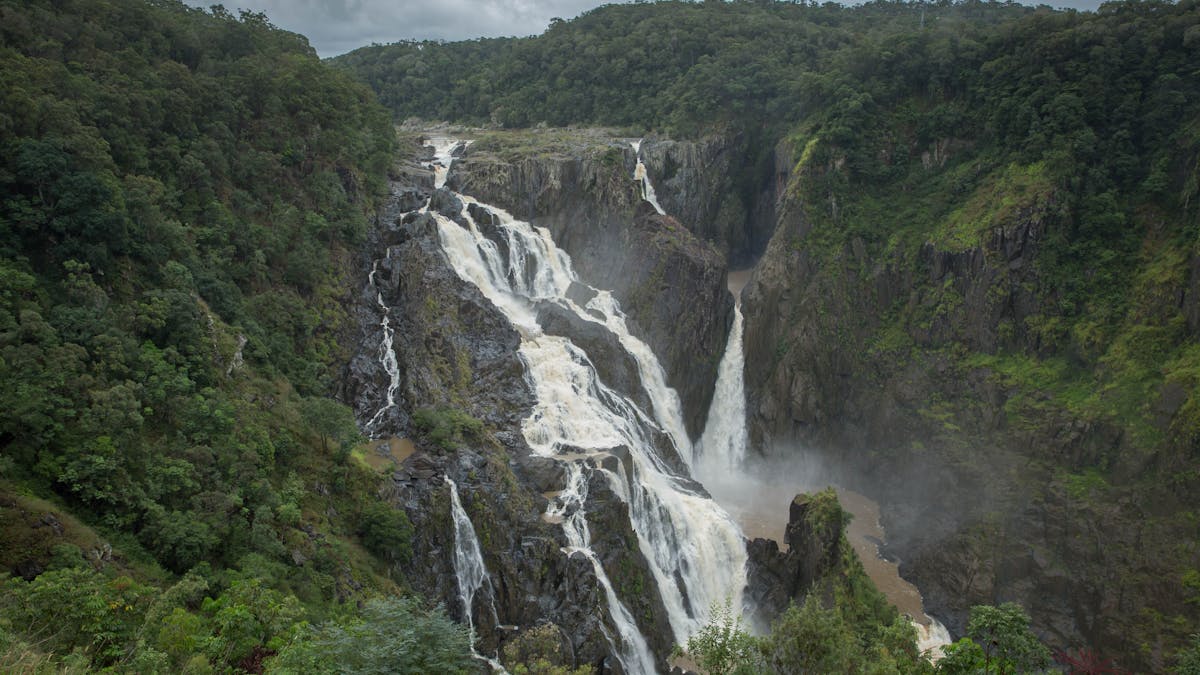 Streams of water rush down a vertical rock face surrounded by lush rainforest.
